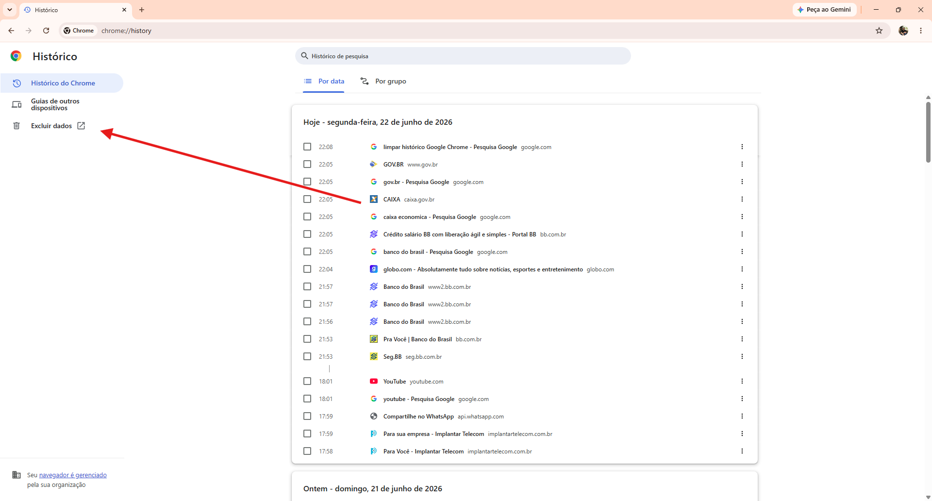 Página de histórico do Google Chrome com o botão 'Excluir dados' destacado na lateral esquerda.