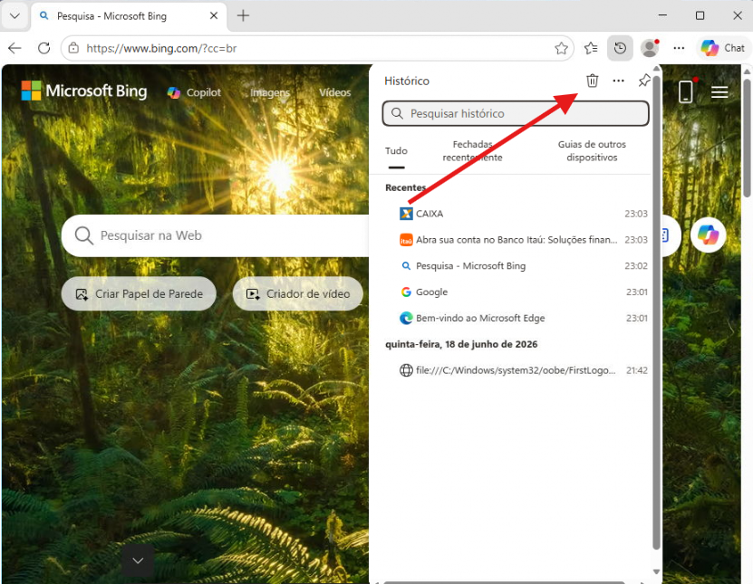 Painel de histórico do Microsoft Edge com o ícone da lixeira destacado.